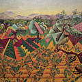 Vines & Olive Tree, Tarragona